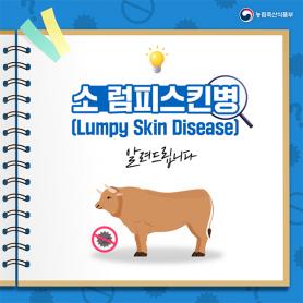 2023년 11월 한우마당 매거진 표지