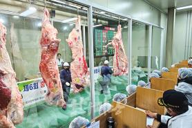 2026년 1월 한우마당 매거진 표지