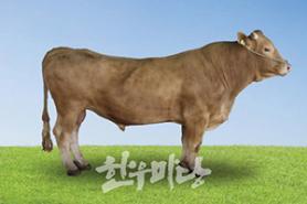 2025년 8월 한우마당 매거진 표지