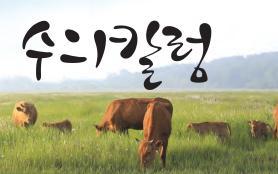 2026년 8월 한우마당 매거진 표지