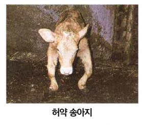 2023년 5월 한우마당 매거진 표지