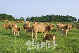2023년 9월 한우마당 매거진 표지