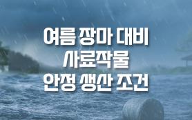 2025년 6월 한우마당 매거진 표지