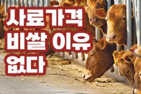 2025년 7월 한우마당 매거진 표지